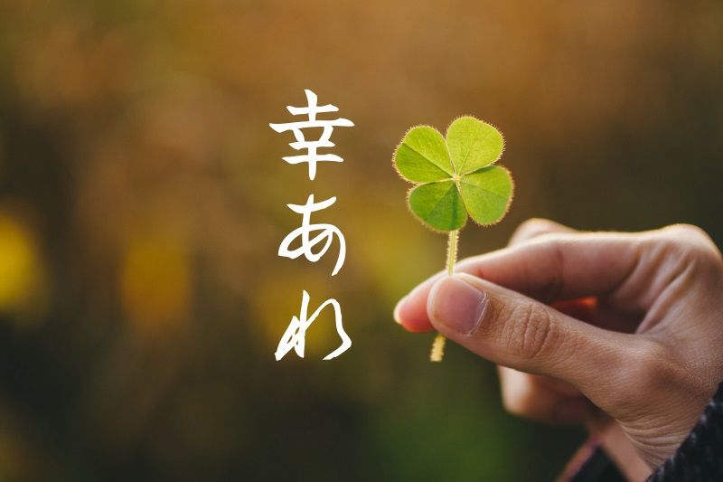 chúc may mắn chúc may mắn